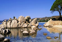 谁是足球怪侠？他有着怎样的传奇故事？